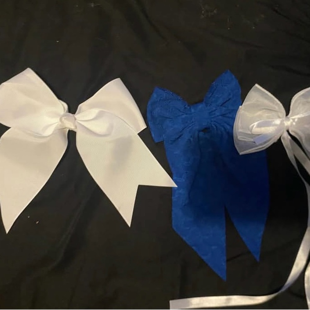 Elegant White and Blue Hair Bows for Kids